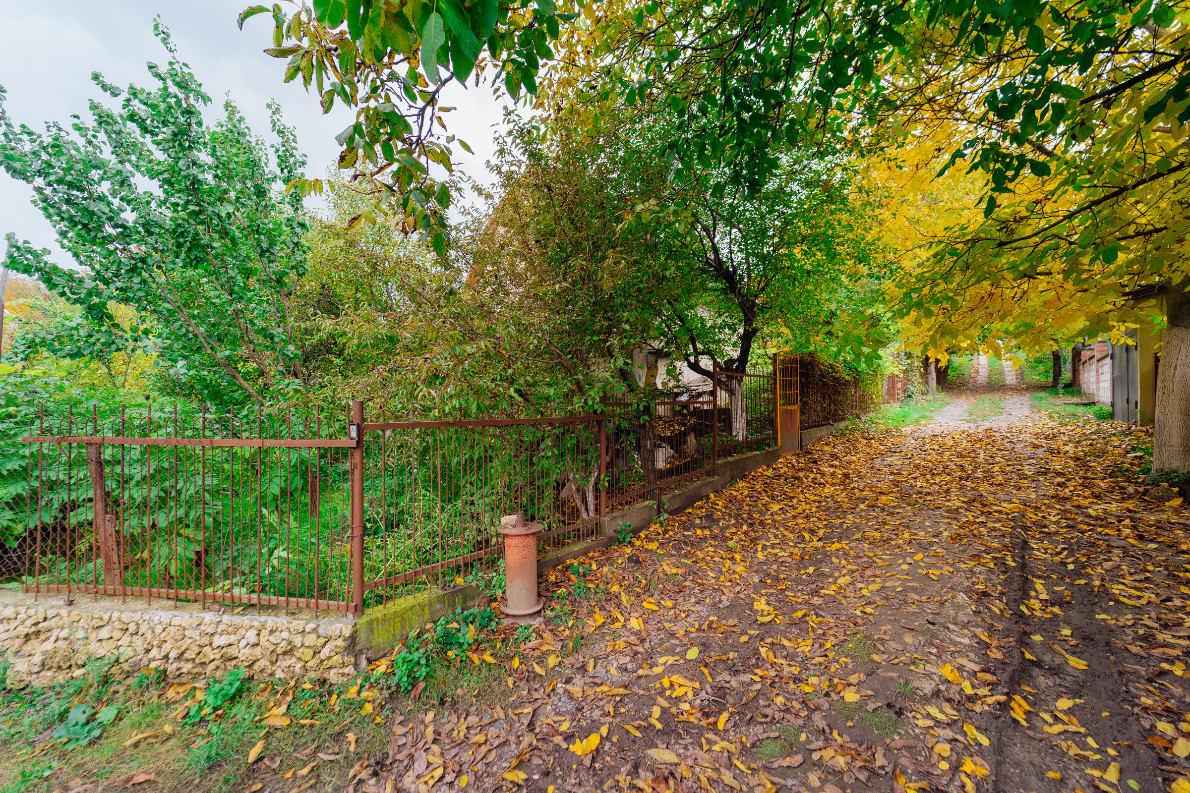 estate-img